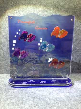 GeoCoinCollector - 5er "Dreamfish Geocoin"