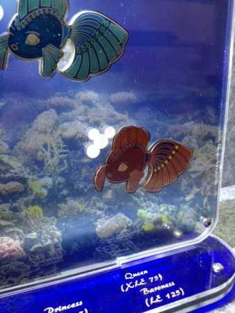 GeoCoinCollector - 5er "Dreamfish Geocoin"