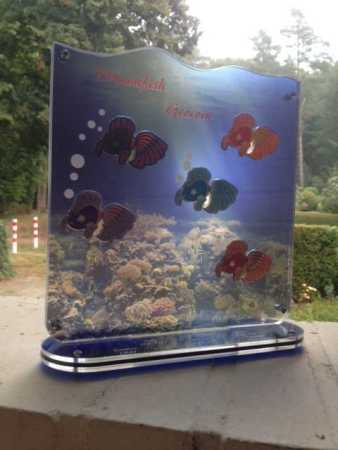 GeoCoinCollector - 5er "Dreamfish Geocoin"