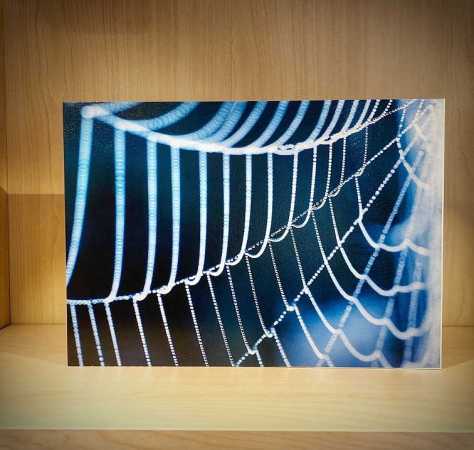 Pinwand mit individuellem, farbigen Druck bis Grösse A4