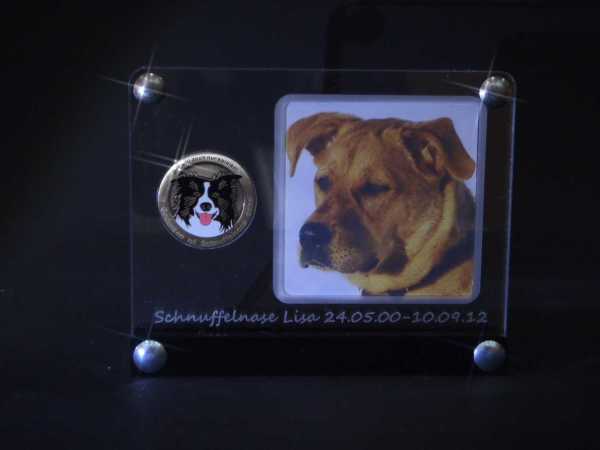 Special GeoCoinCollector - "Cache Dog mit Photo"