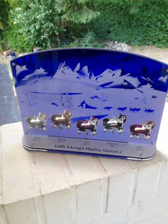 GeoCoinCollector - 5er "Little Maga Husky Geocoin"