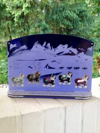 GeoCoinCollector - 5er "Little Maga Husky Geocoin"