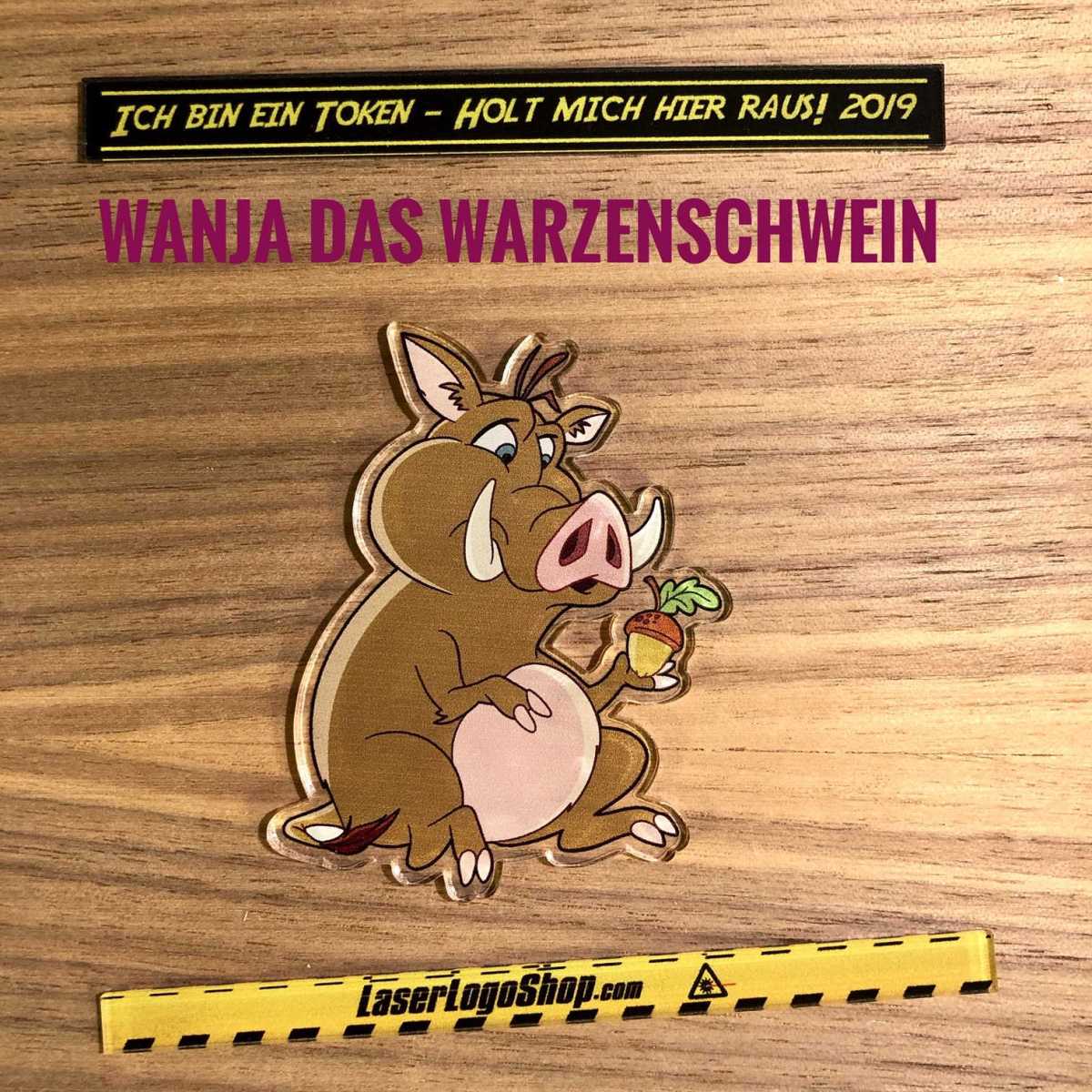 Jungle 2019 - "Wanja das Warzenschwein"