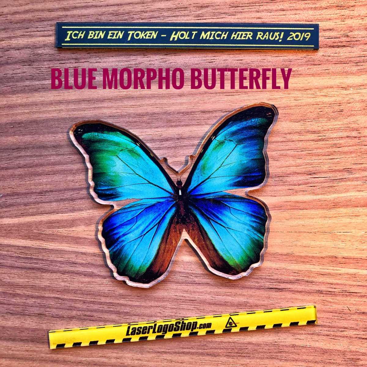 Dschungel 2019 - "Blue Morpho Butterfly"