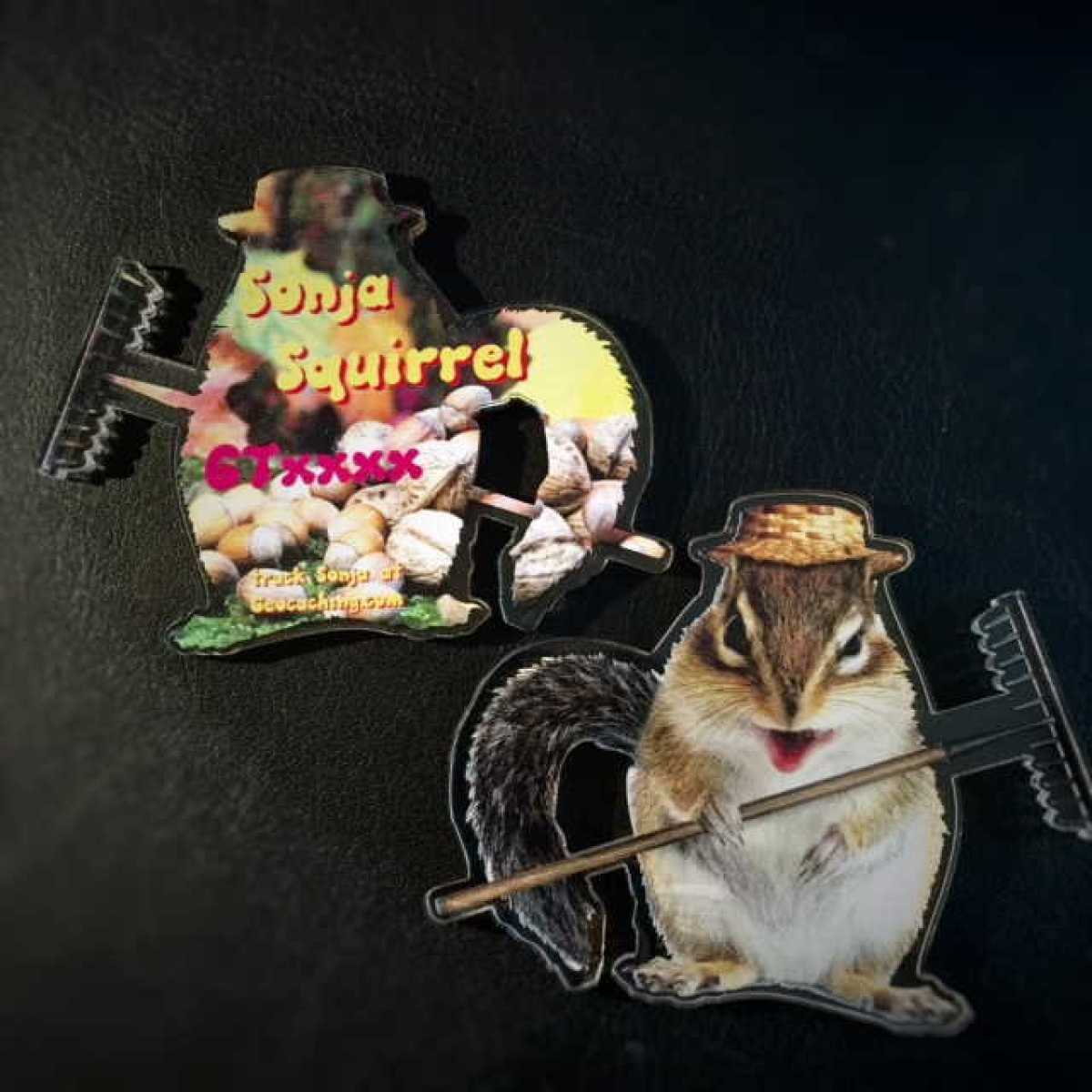 "Sonja Squirrel das fleissige Eichhorn"