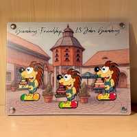 Coin-Display 4 Igel-Coins "Geocaching Friendship 2025 - Wernesgrün / Vogtland"
